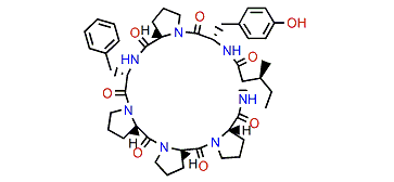 Stylissamide B